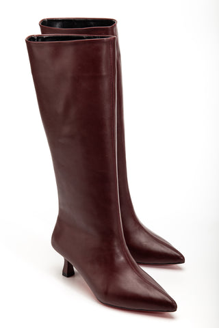 Kadın Sivri Burun İnce Topuk Çizme Diane